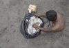 Fome: 125 milhões de pessoas estão em situação de insegurança alimentar